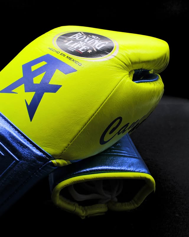 No Boxing No Life Glove - online, NBNL Boxing Gloves, Leather Gloves Limited Edition Gold/white
