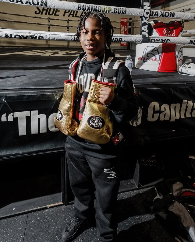 No Boxing No Life Glove - online, NBNL Boxing Gloves, Leather Gloves Limited Edition Gold