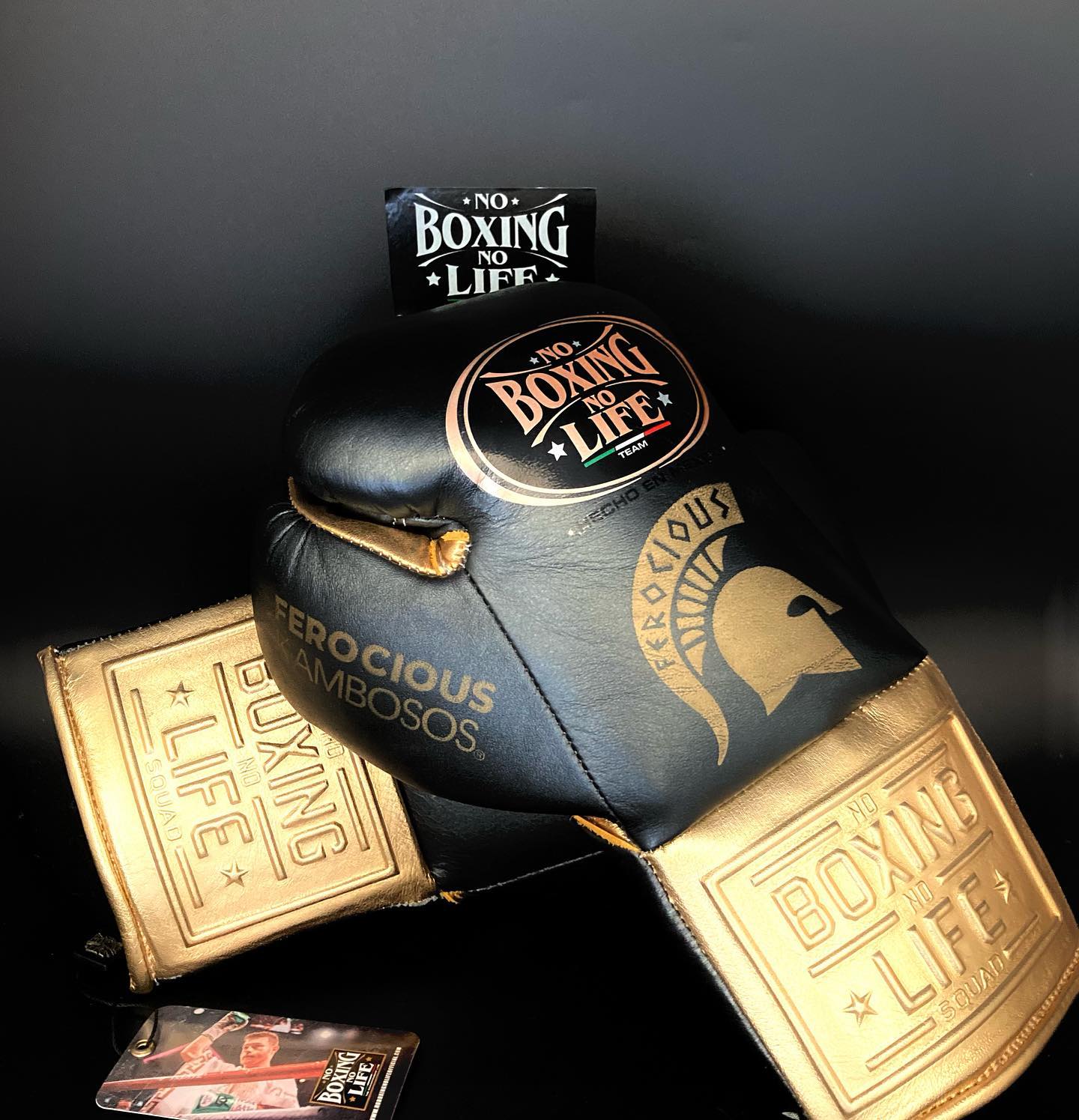 No Boxing No Life Glove - online, NBNL Boxing Gloves, Leather Gloves Limited Edition Black/Gld