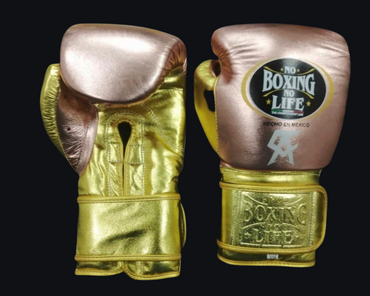 No Boxing No Life Glove - online, NBNL Boxing Gloves, Leather Gloves