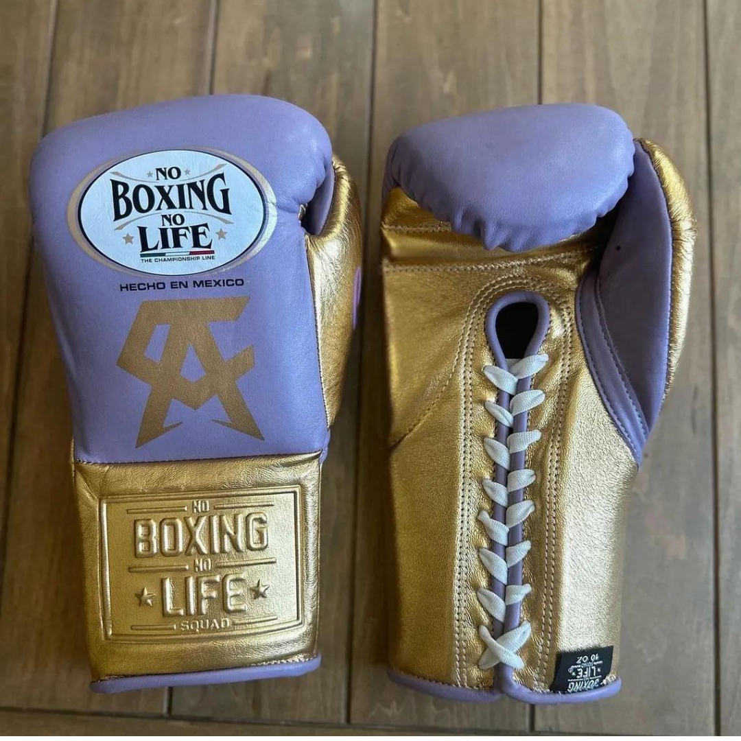 No Boxing No Life Glove - online, NBNL Boxing Gloves, Leather Gloves