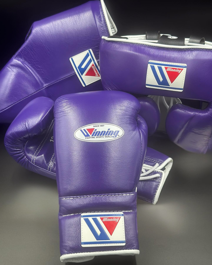 No Boxing No Life Glove - online, NBNL Boxing Gloves, Leather Gloves