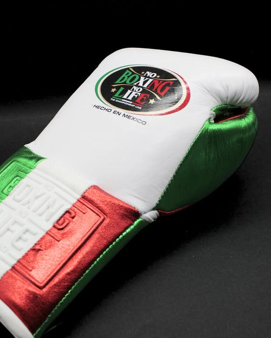 No Boxing No Life Glove - online, NBNL Boxing Gloves, Leather Gloves Limited Edition Mexico colour