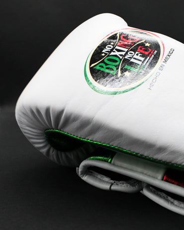 No Boxing No Life Glove - online, NBNL Boxing Gloves, Leather Gloves Limited Edition Mexico colour