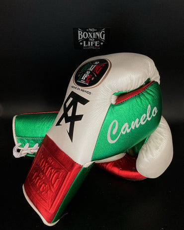 No Boxing No Life Glove - online, NBNL Boxing Gloves, Leather Gloves