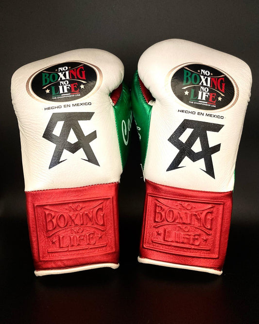 No Boxing No Life Glove - online, NBNL Boxing Gloves, Leather Gloves