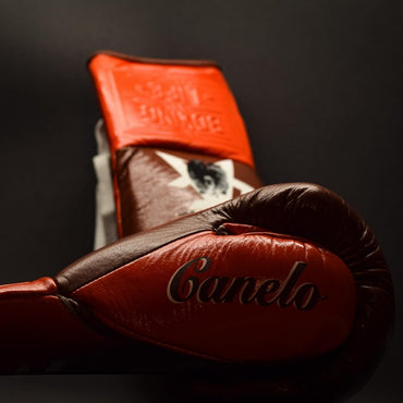 No Boxing No Life Glove - online, NBNL Boxing Gloves, Leather Gloves Limited Edition Brown/orange
