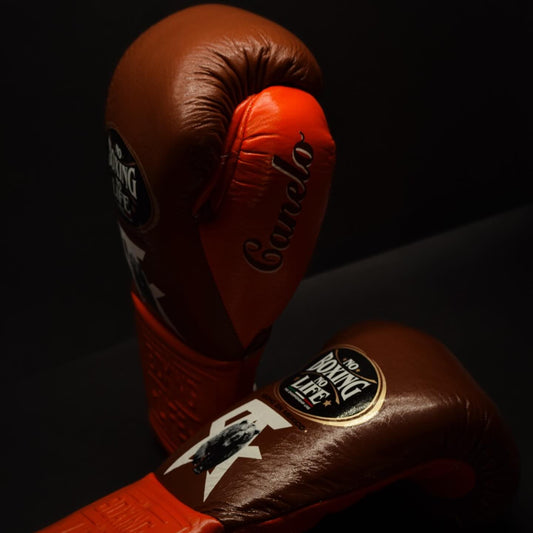 No Boxing No Life Glove - online, NBNL Boxing Gloves, Leather Gloves Limited Edition Brown/orange