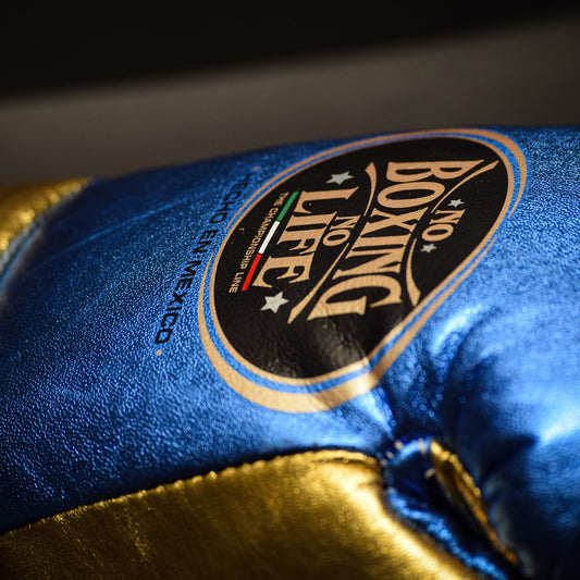 No Boxing No Life Glove - online, NBNL Boxing Gloves, Leather Gloves