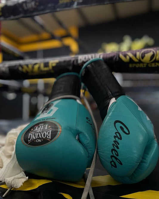 No Boxing No Life Glove - online, NBNL Boxing Gloves, Leather Gloves Limited Edition Sky Blue
