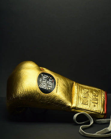 No Boxing No Life Glove - online, NBNL Boxing Gloves, Leather Gloves Limited Edition Gold