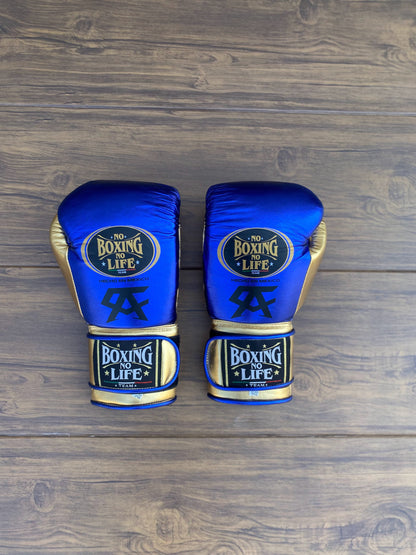 No Boxing No Life Glove - online, NBNL Boxing Gloves, Leather Gloves , velcro gloves