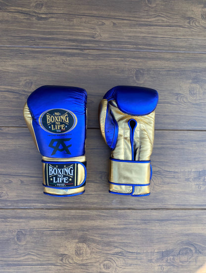 No Boxing No Life Glove - online, NBNL Boxing Gloves, Leather Gloves , velcro gloves