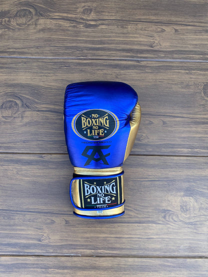 No Boxing No Life Glove - online, NBNL Boxing Gloves, Leather Gloves , velcro gloves