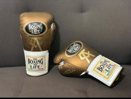 No Boxing No Life Glove - online, NBNL Boxing Gloves, Leather Gloves Copper