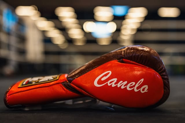 www championship,winnings boxing gloves,winnings boxing,winning velcro gloves,winning velcro glove,winning usa,winning uk,winning open face head guard,winning open face head guard,Winning Leather gloves,winning laceup gloves,winning japan,Winning head guard,Winning Groin guard,Winning Gloves,winning china,Winning Boxing set,Winning boxing gloves set,winning boxing gloves,winning boxing glove,Winning Boxing Gear,Winni,where to buy grant boxing gloves,wedding gifts,wedding gift gift,Wedding Gift,Valentine Gif