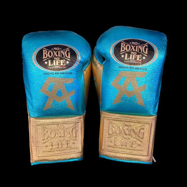 No Boxing No Life Glove - online, NBNL Boxing Gloves, Leather Gloves
