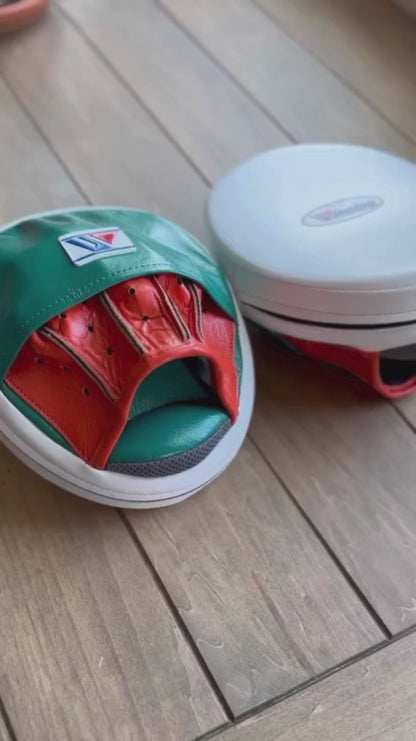 WINNING Punching Mitts White/Green