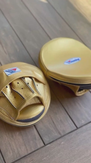 WINNING Punching Mitts Golden